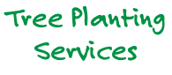 Tree Planting Services