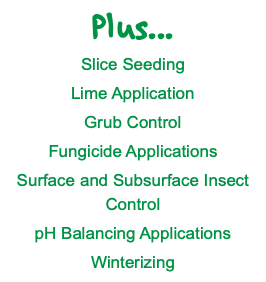Plus... Slice Seeding Lime Application Grub Control Fungicide Applications Surface and Subsurface Insect Control pH Balancing Applications Winterizing